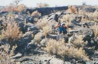 Along the Acoma-Zuni Trail